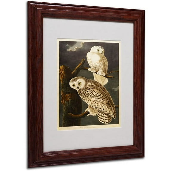 Trademark Fine Art "Snowy Owl" Canvas Art by John James Audubon, Wood Frame