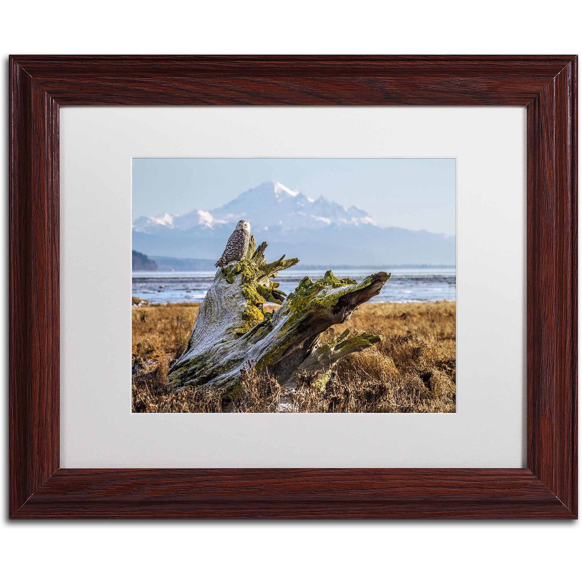 Trademark Fine Art "Snowy Owl" Canvas Art by Pierre Leclerc, White Matte/Wood Frame