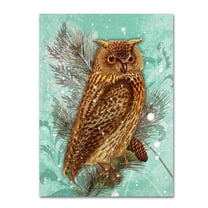 Trademark Fine Art 'Snowy Owl' Canvas Art by Tina Lavoie