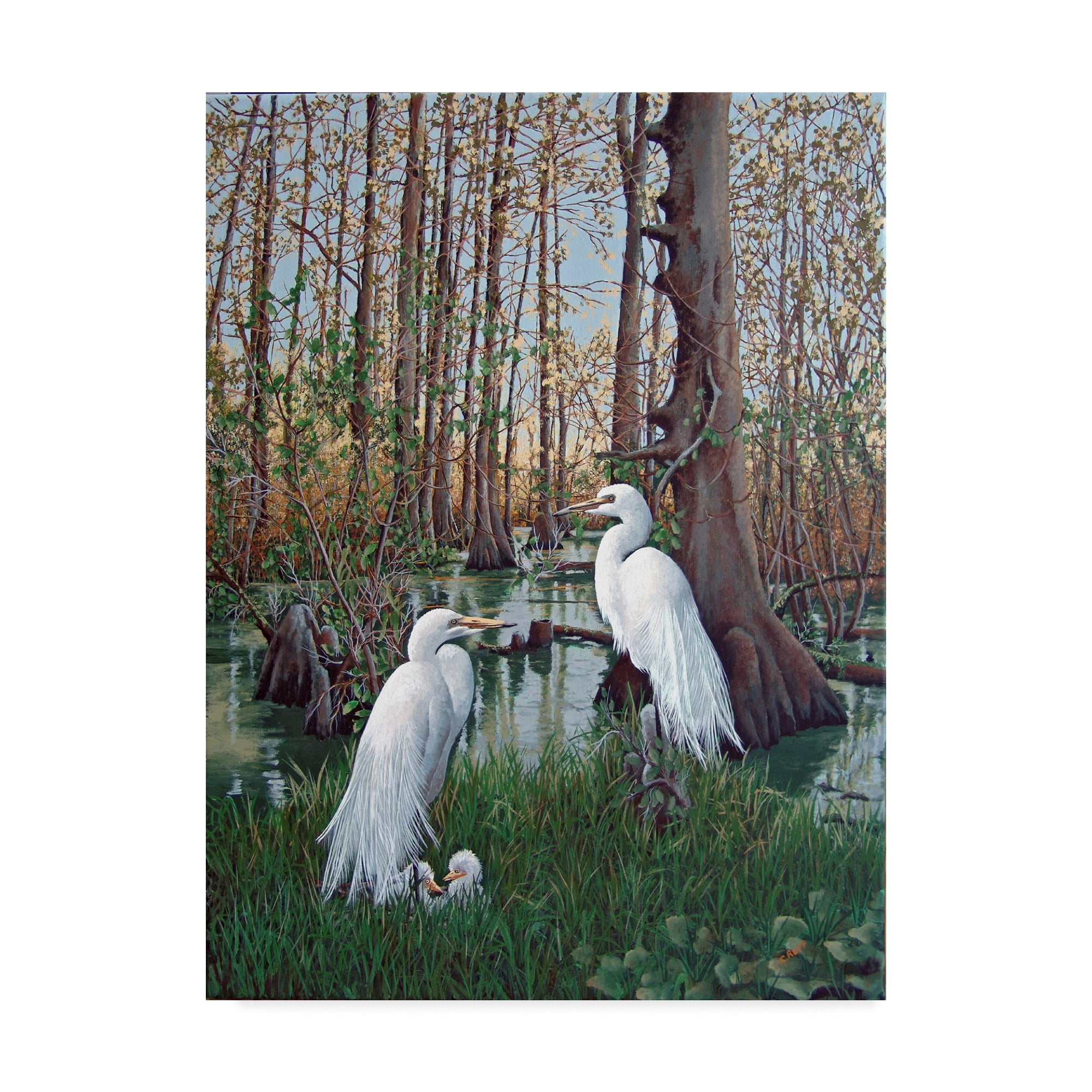 Trademark Fine Art 'Snowy White Egret Nesting' Canvas Art by Carol J Rupp
