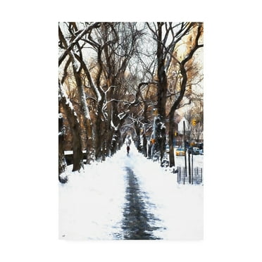 Trademark Fine Art 'Snowy road Central Park' Canvas Art by Philippe Hugonnard