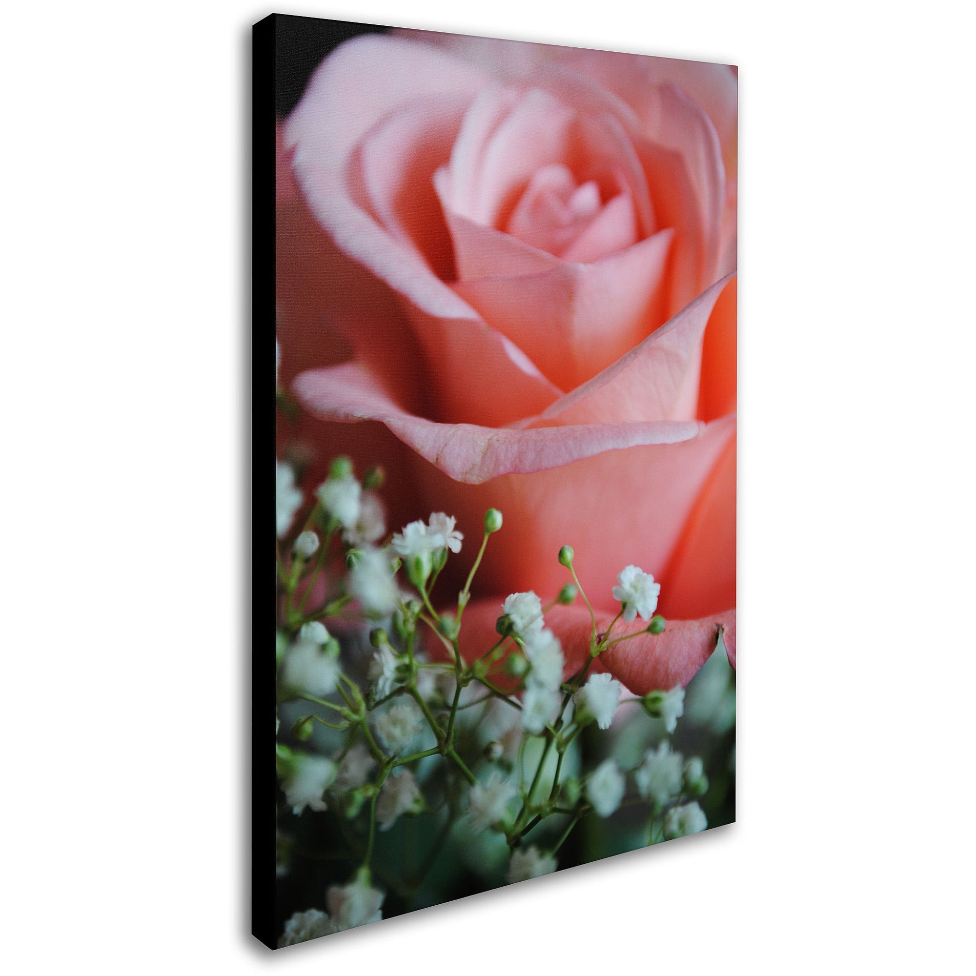 Monica Fleet Pink Flower Closeup Canvas Art
