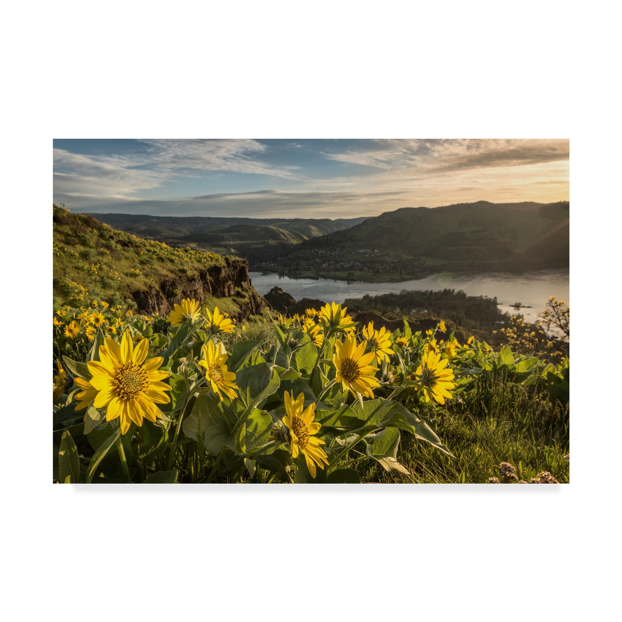 Trademark Fine Art 'Soaking Up the Sun' Canvas Art by Danny Head