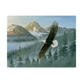 thumbnail image 1 of Trademark Fine Art 'Soaring Eagle' Canvas Art by Wilhelm Goebel, 1 of 3