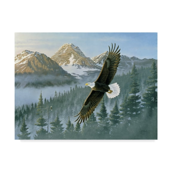 Trademark Fine Art 'Soaring Eagle' Canvas Art by Wilhelm Goebel