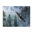 thumbnail image 1 of Trademark Fine Art 'Soaring High II' Canvas Art by B. Lynnsy, 1 of 3