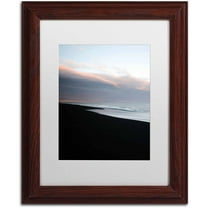 Trademark Fine Art 'Sober' Canvas Art by Philippe Sainte-Laudy, White Matte, Wood Frame