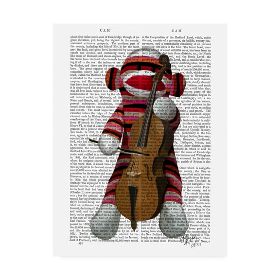 Trademark Fine Art 'Sock Monkey And Cello' Canvas Art by Fab Funky
