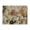 thumbnail image 1 of Trademark Fine Art 'Soft Floral I' Canvas Art by Danielle Harrington, 1 of 4