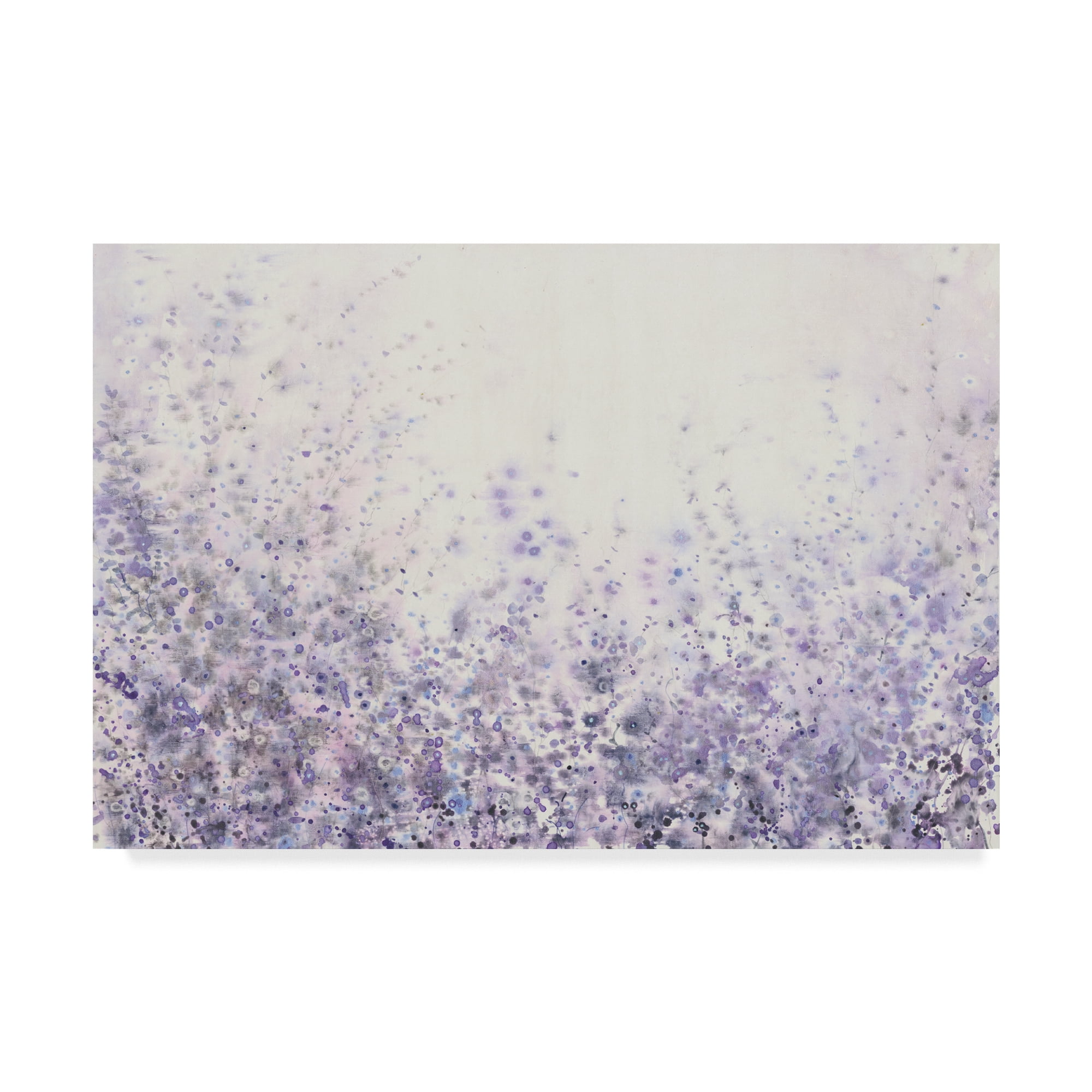 Trademark Fine Art 'Soft Focus II' Canvas Art by Tim OToole