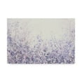 thumbnail image 1 of Trademark Fine Art 'Soft Focus II' Canvas Art by Tim OToole, 1 of 4