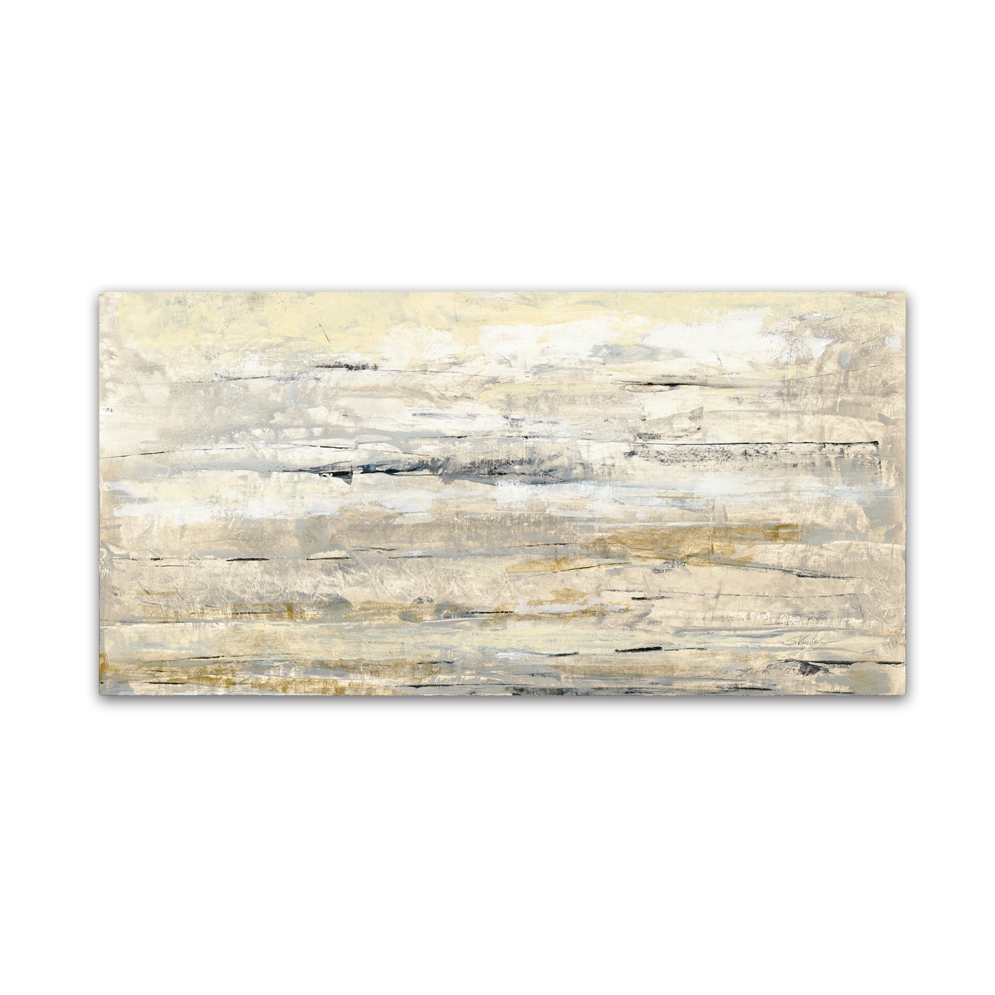 Trademark Fine Art 'Soft Glow Crop' Canvas Art by Silvia Vassileva