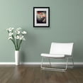 thumbnail image 1 of Trademark Fine Art "Soft Grey 1" Canvas Art by Philippe Sainte-Laudy, Black Frame, 1 of 5