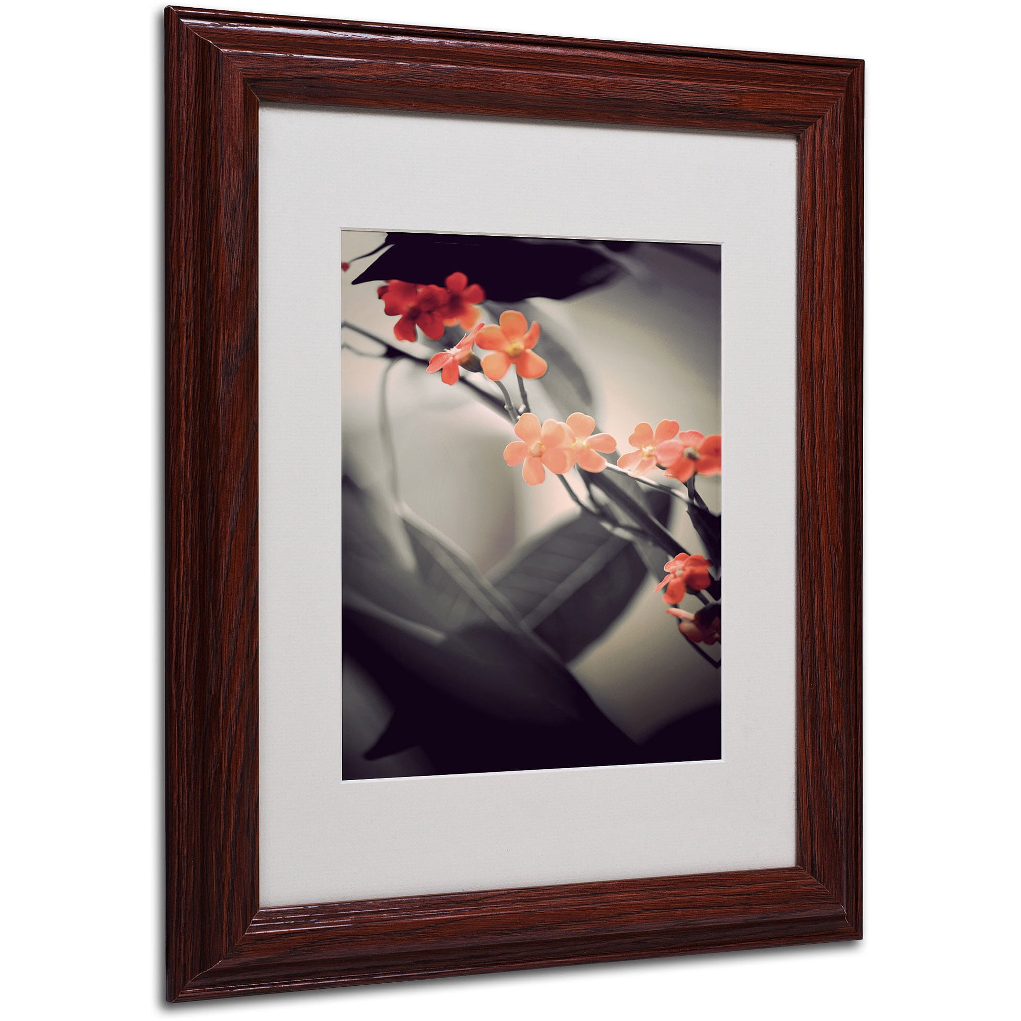 Trademark Fine Art "Soft Grey 1" Canvas Art by Philippe Sainte-Laudy, Wood Frame