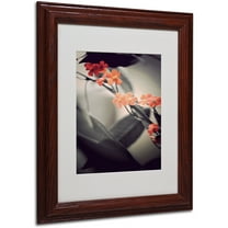 Trademark Fine Art "Soft Grey 1" Canvas Art by Philippe Sainte-Laudy, Wood Frame