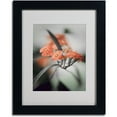 thumbnail image 1 of Trademark Fine Art "Soft Grey 3" Canvas Art by Philippe Sainte-Laudy, Black Frame, 1 of 3