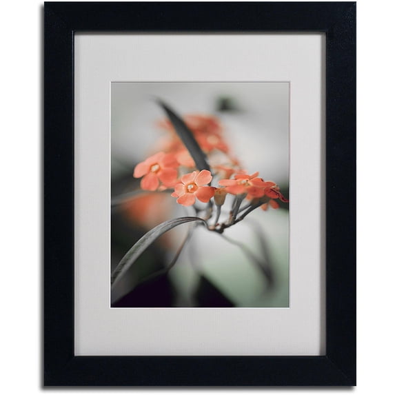 Trademark Fine Art "Soft Grey 3" Canvas Art by Philippe Sainte-Laudy, Black Frame