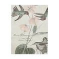 thumbnail image 1 of Trademark Fine Art 'Soft Hummingbirds I' Canvas Art by Studio W, 1 of 4