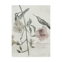 Trademark Fine Art 'Soft Hummingbirds II' Canvas Art by Studio W