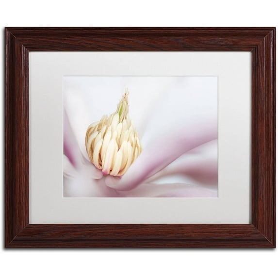 Trademark Fine Art 'Soft Magnolia' Canvas Art by Pierre Leclerc, White Matte, Wood Frame