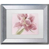 Trademark Fine Art 'Soft Pink Tulip' Canvas Art by Cora Niele, White Matte, Silver Frame