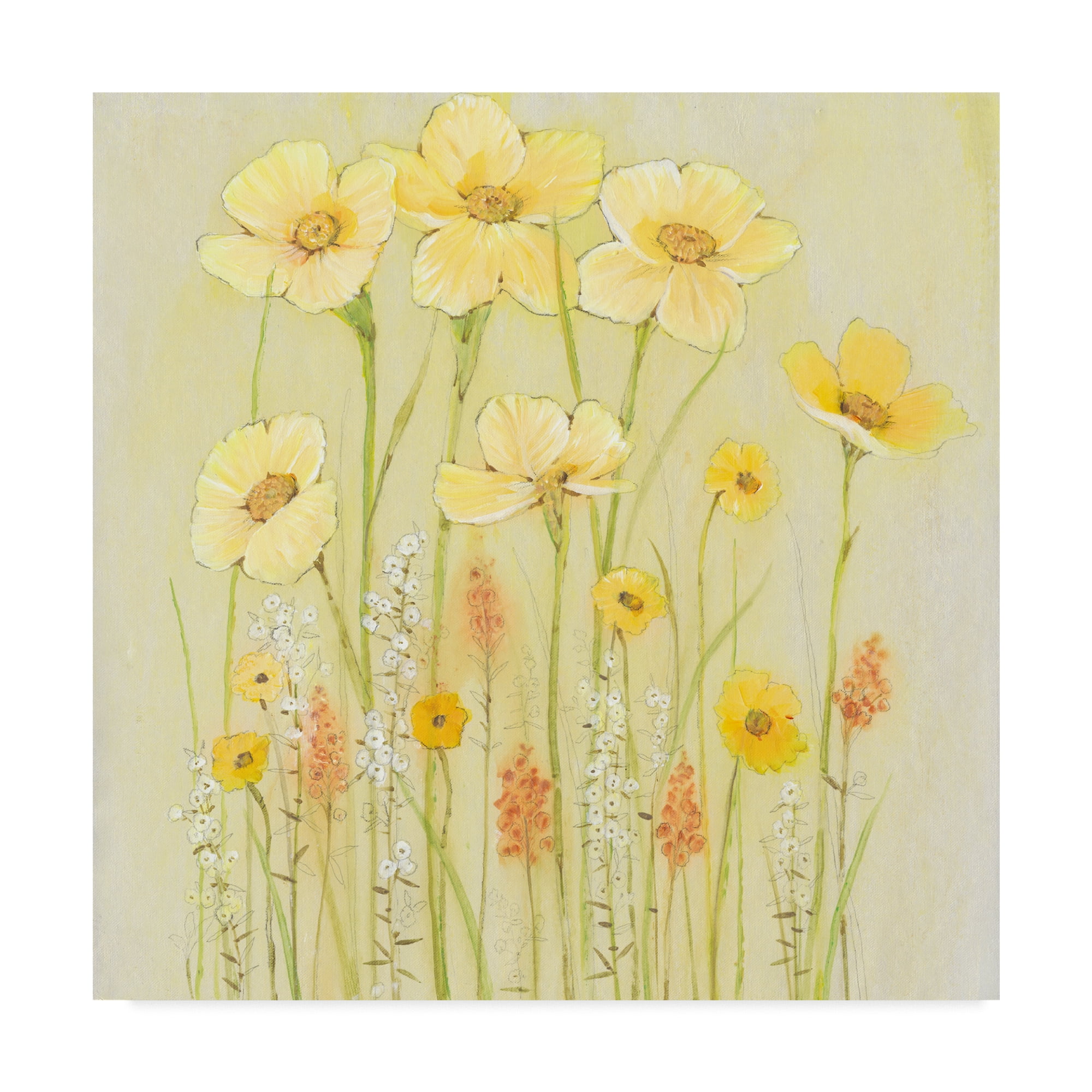 Trademark Fine Art 'Soft Spring Floral I' Canvas Art by Tim OToole
