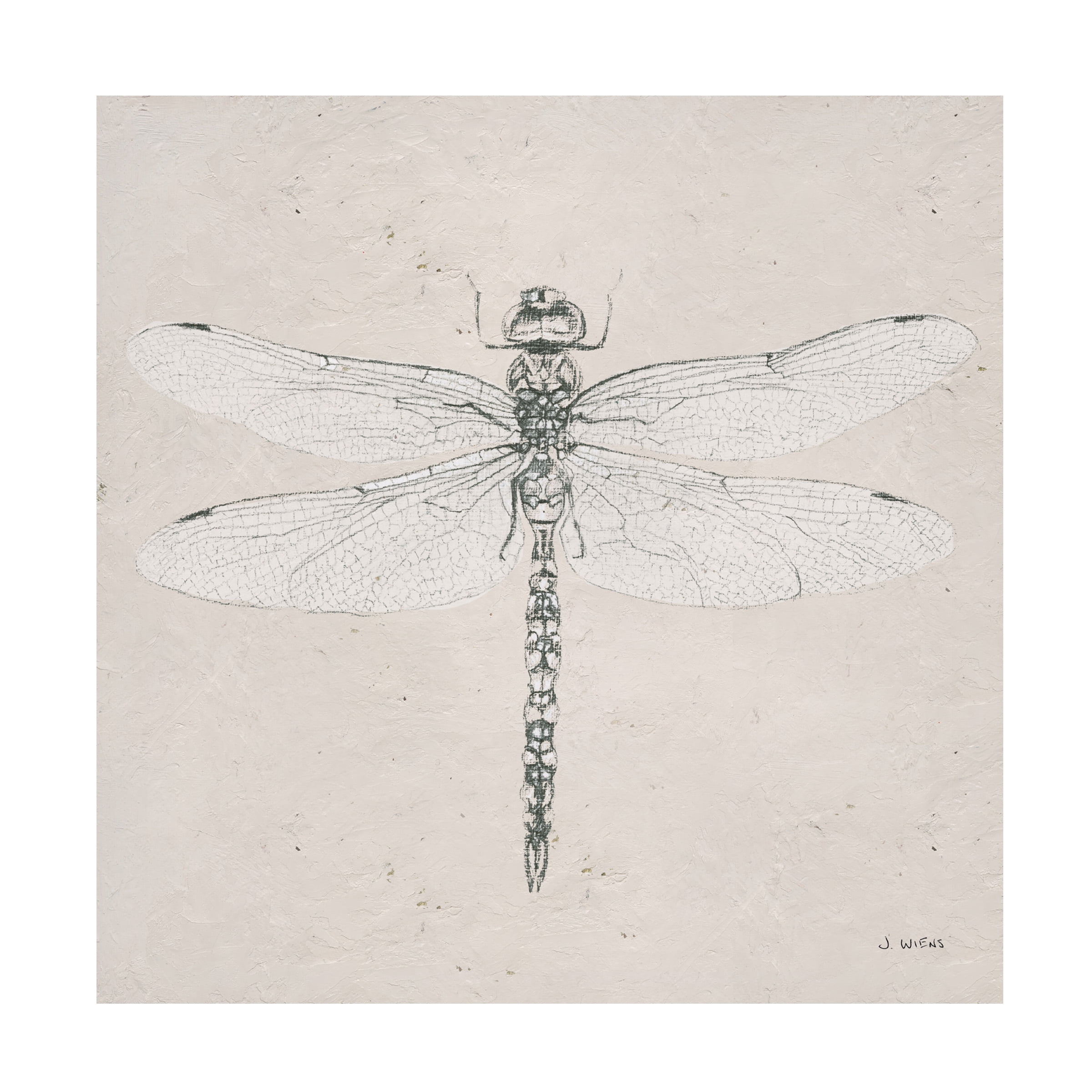 Trademark Fine Art 'Soft Summer Sketches VI' Canvas Art by James Wiens