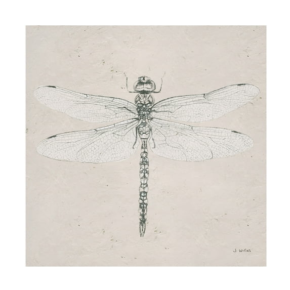 Trademark Fine Art 'Soft Summer Sketches VI' Canvas Art by James Wiens