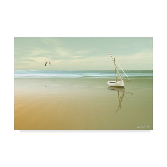 Trademark Fine Art 'Soft Sunrise On The Beach 1' Canvas Art by Carlos Casamayor