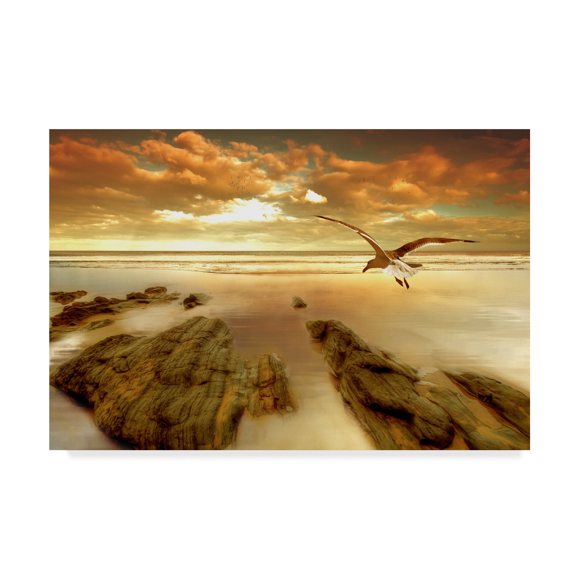 Trademark Fine Art 'Soft Sunrise On The Beach 3' Canvas Art by