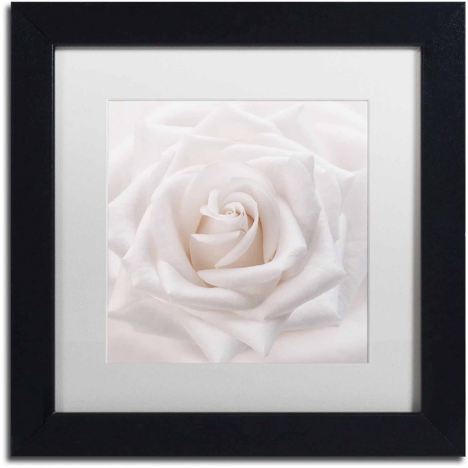 Trademark Fine Art 'Soft White Rose' Canvas Art by Cora Niele, White Matte, Black Frame