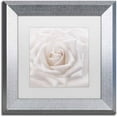 thumbnail image 1 of Trademark Fine Art 'Soft White Rose' Canvas Art by Cora Niele, White Matte, Silver Frame, 1 of 1