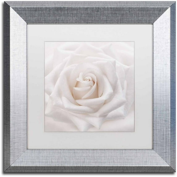 Trademark Fine Art 'Soft White Rose' Canvas Art by Cora Niele, White Matte, Silver Frame