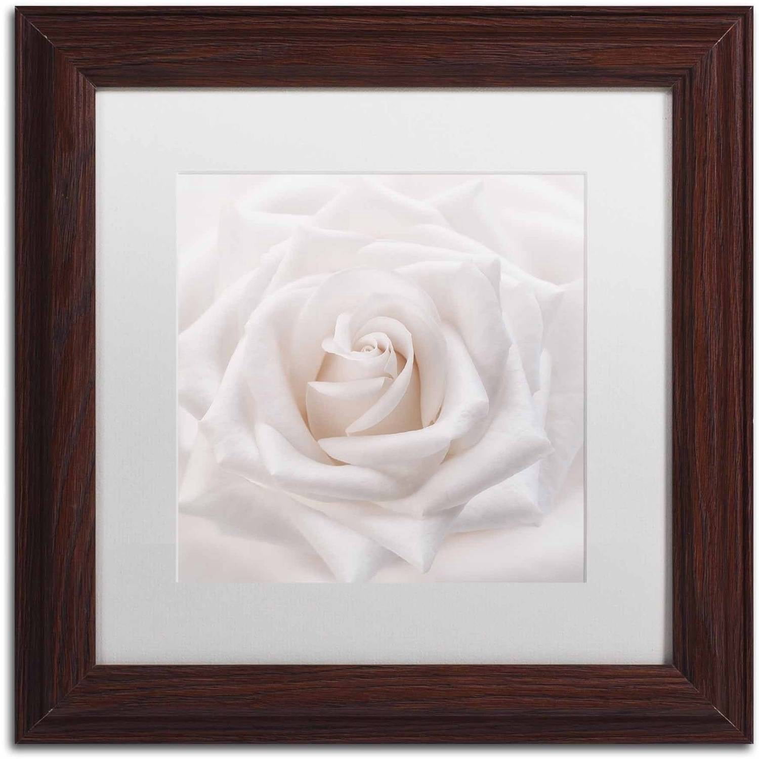 Trademark Fine Art 'Soft White Rose' Canvas Art by Cora Niele, White Matte, Wood Frame