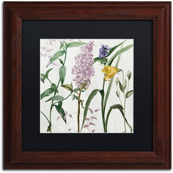 Trademark Fine Art "Softly II" Canvas Art by Color Bakery Black Matte, Wood Frame