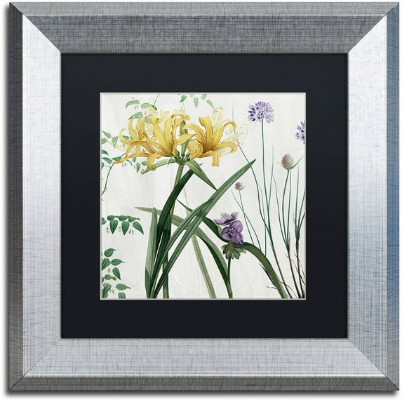 Trademark Fine Art "Softly IV" Canvas Art by Color Bakery Black Matte, Silver Frame