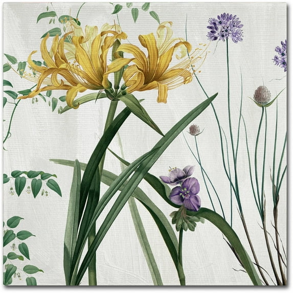 Trademark Fine Art "Softly IV" Canvas Art by Color Bakery