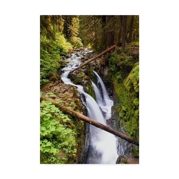 Trademark Fine Art 'Sol Duc Falls' Canvas Art by Michael Blanchette Photography