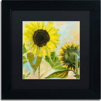 Trademark Fine Art "Soleil I" Canvas Art by Color Bakery, Black Matte, Black Frame