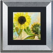 Trademark Fine Art "Soleil I" Canvas Art by Color Bakery, Black Matte, Silver Frame