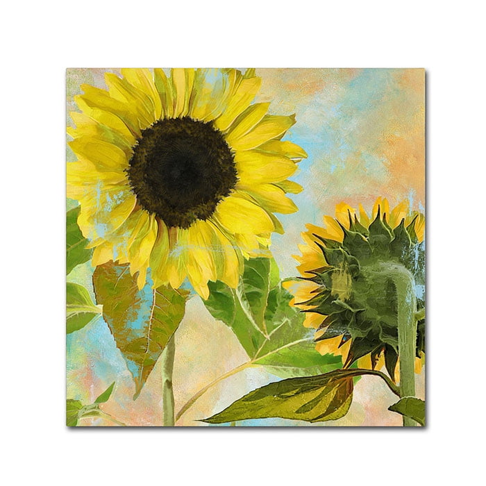 Trademark Fine Art "Soleil I" Canvas Art by Color Bakery