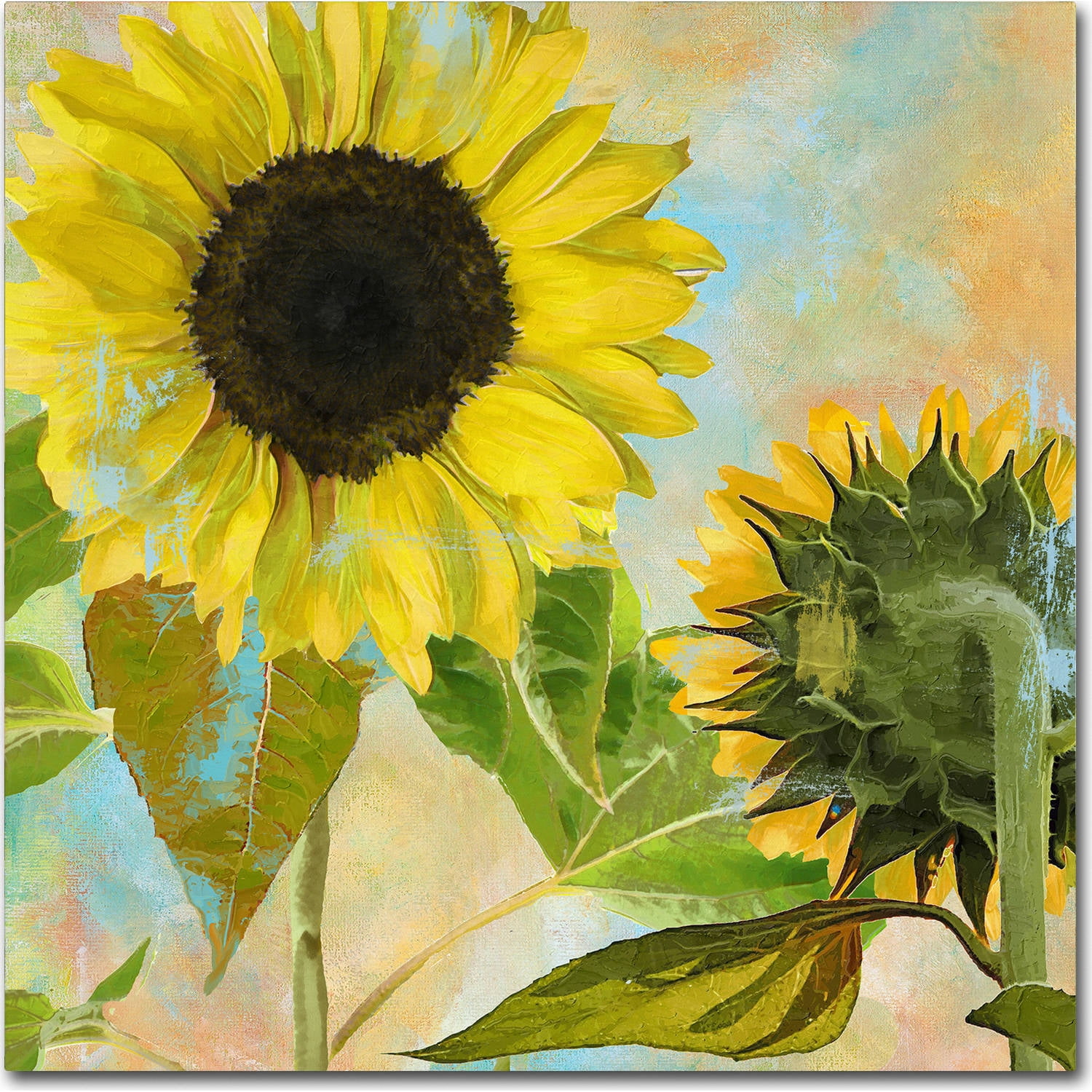 Trademark Fine Art "Soleil I" Canvas Art by Color Bakery
