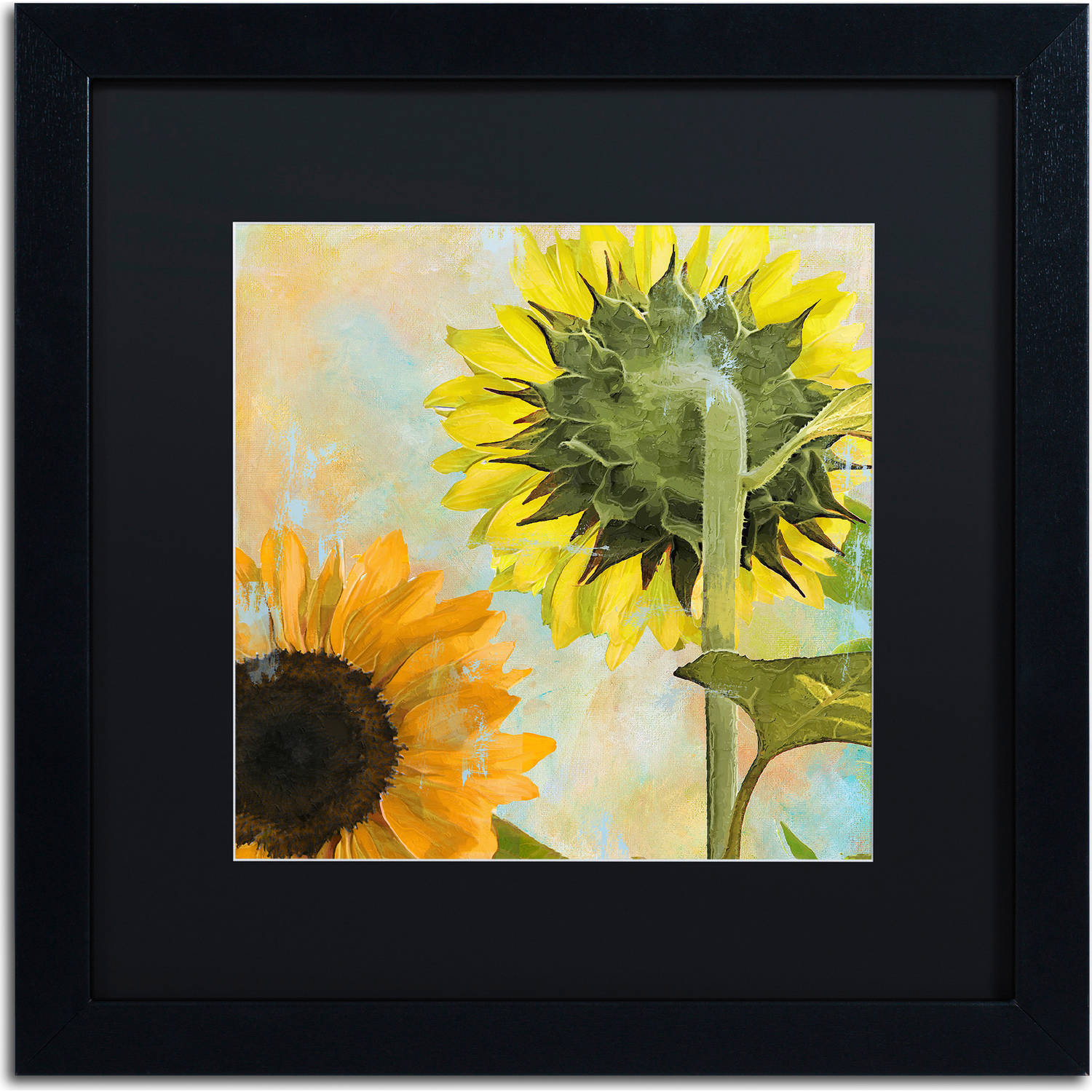 Trademark Fine Art "Soleil II" Canvas Art by Color Bakery, Black Matte, Black Frame
