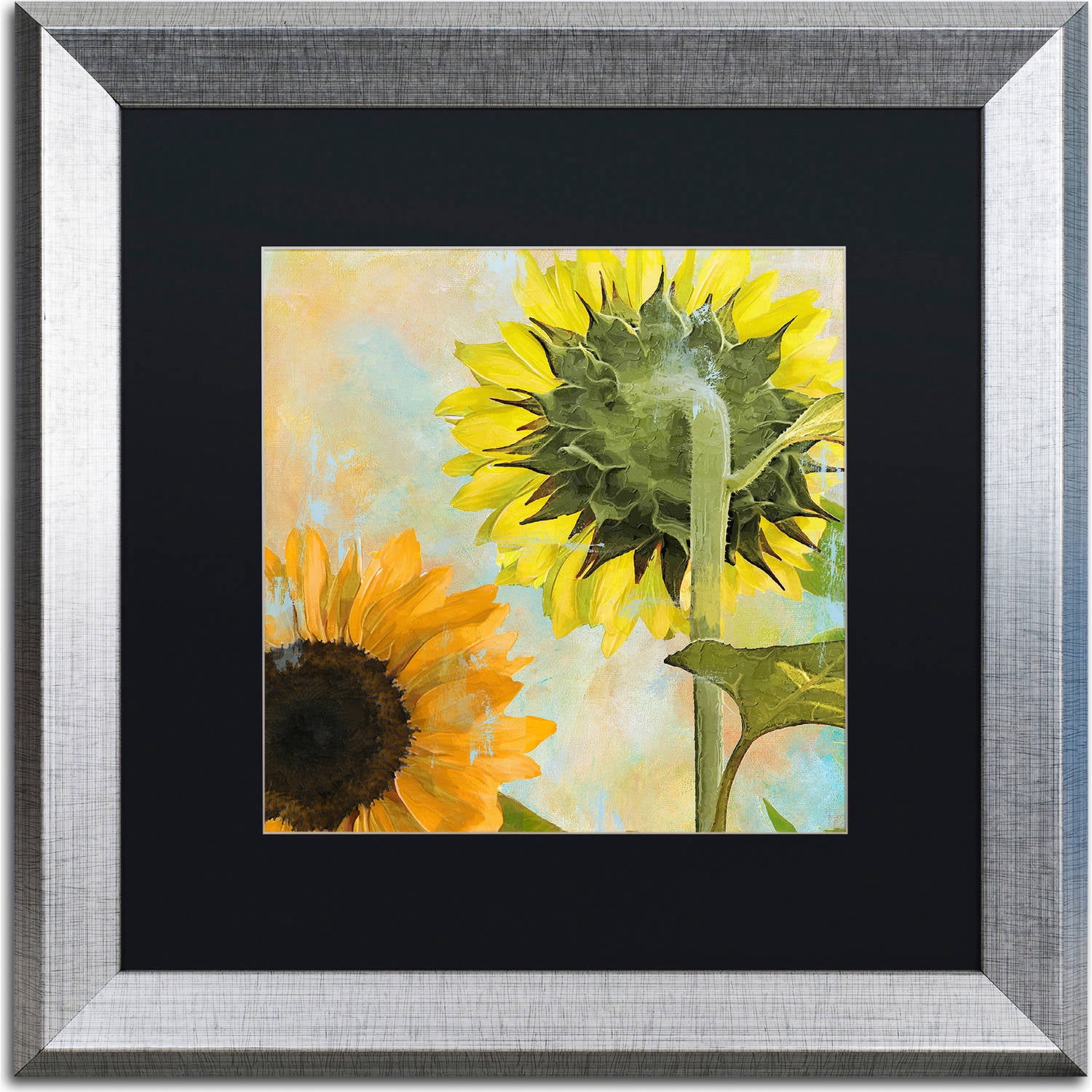 Trademark Fine Art "Soleil II" Canvas Art by Color Bakery, Black Matte, Silver Frame