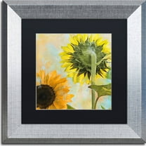 Trademark Fine Art "Soleil II" Canvas Art by Color Bakery, Black Matte, Silver Frame