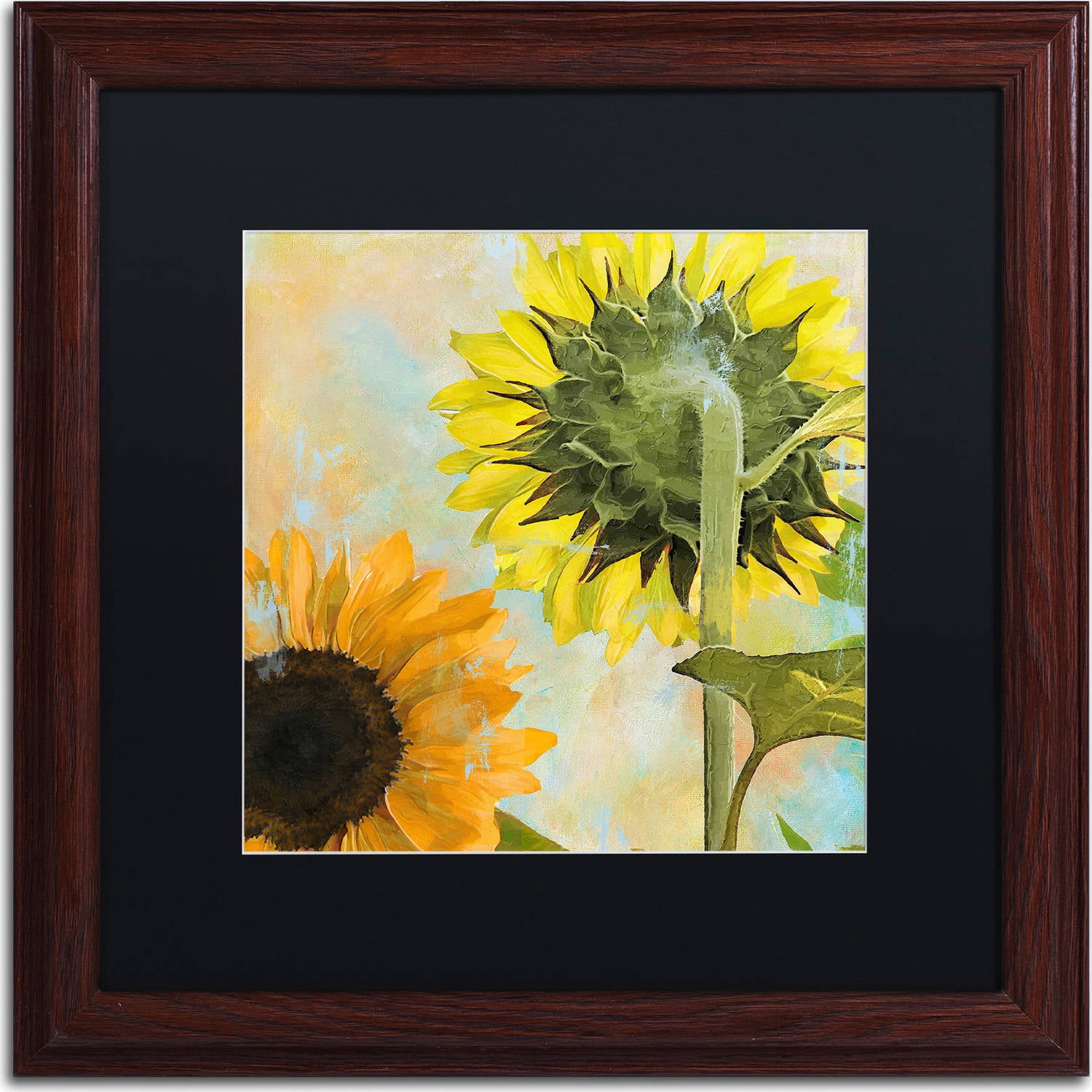 Trademark Fine Art "Soleil II" Canvas Art by Color Bakery, Black Matte, Wood Frame