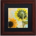 thumbnail image 1 of Trademark Fine Art "Soleil II" Canvas Art by Color Bakery, Black Matte, Wood Frame, 1 of 1