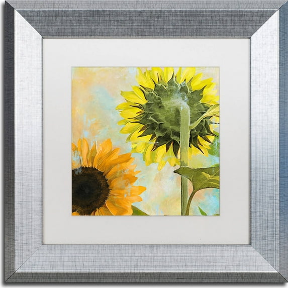 Trademark Fine Art "Soleil II" Canvas Art by Color Bakery, White Matte, Silver Frame