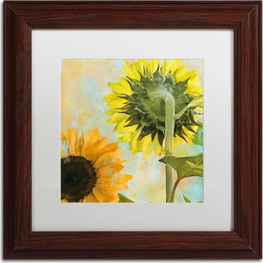 Trademark Fine Art "Soleil II" Canvas Art by Color Bakery, White Matte, Wood Frame