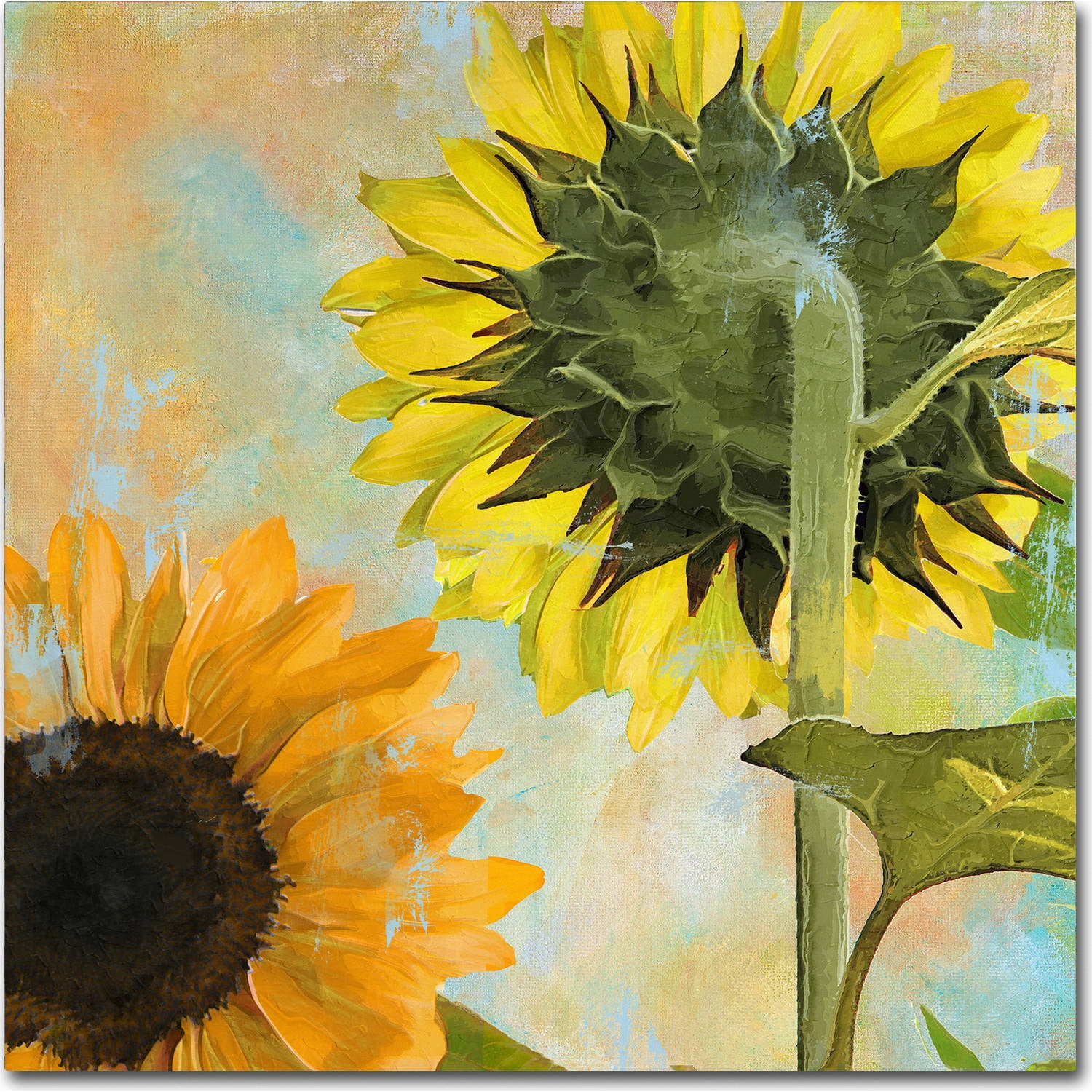 Trademark Fine Art "Soleil II" Canvas Art by Color Bakery